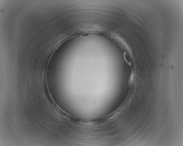 X0000083040113200702020953