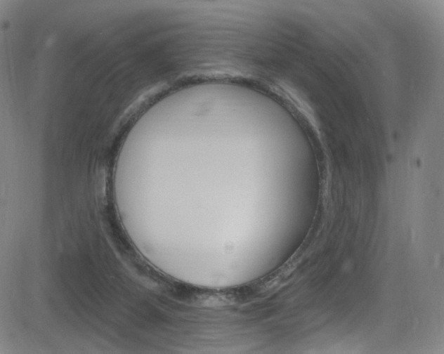 X0000083040115200702020952