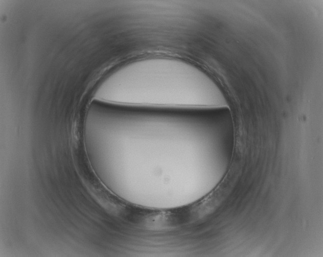 X0000083040116200702020952