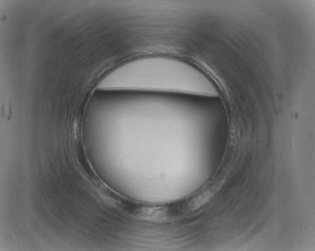 X0000083040117200702020952