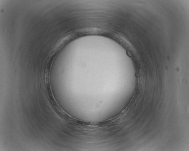 X0000083040119200702020952