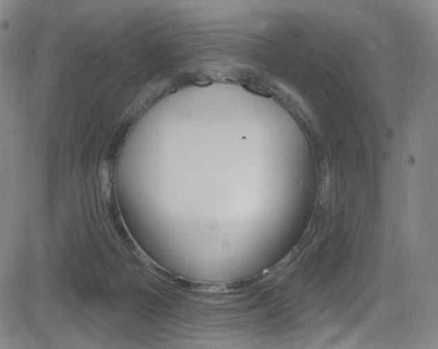 X0000083040121200702020952