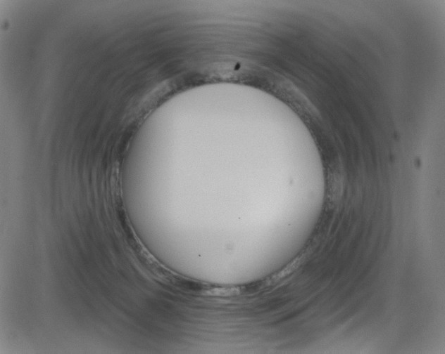 X0000083040126200702020952