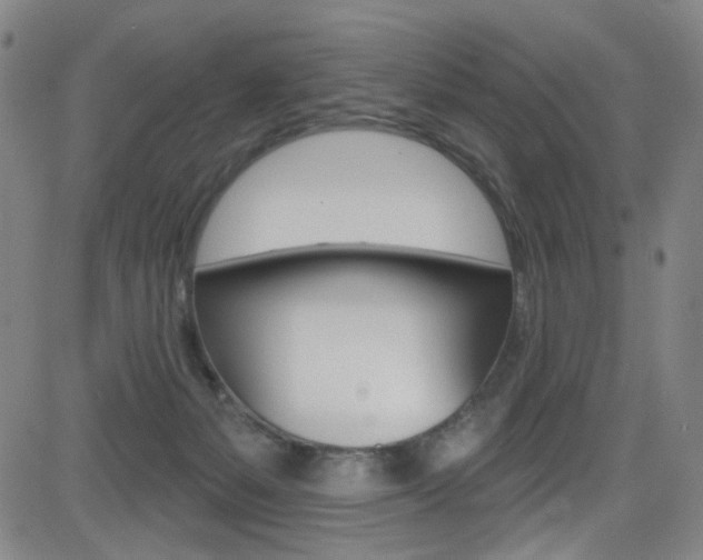 X0000083040127200702020952