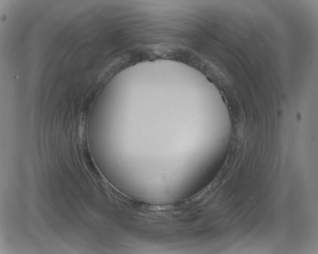 X0000083040129200702020952