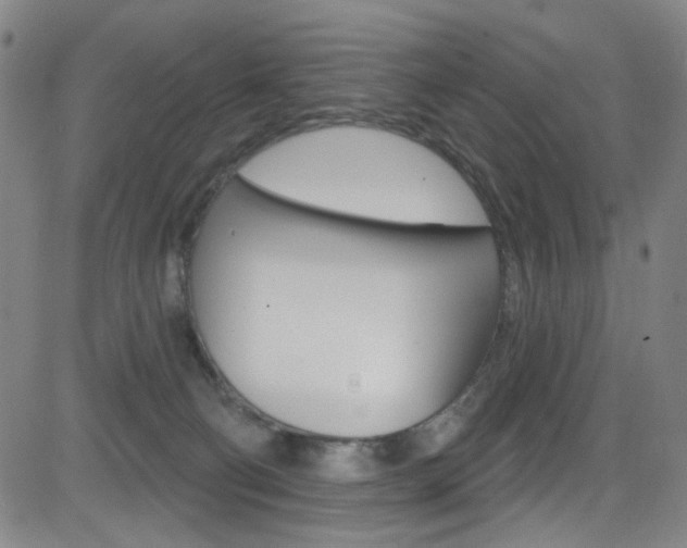 X0000083040130200702020952