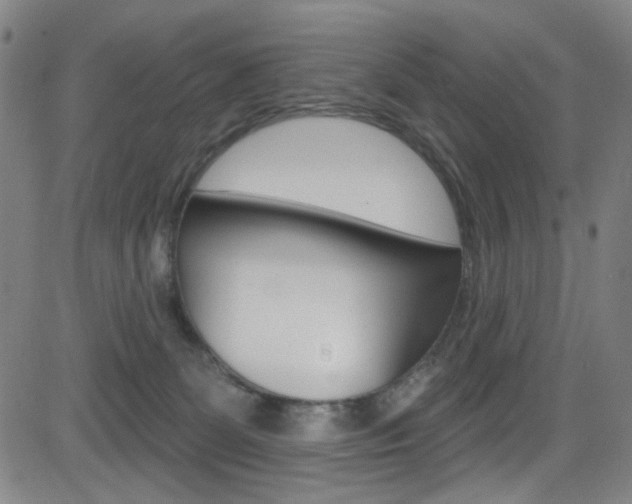 X0000083040131200702020952