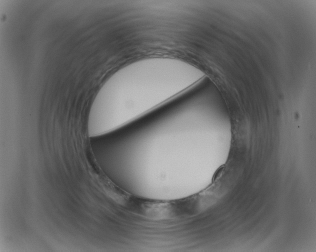 X0000083040132200702020952