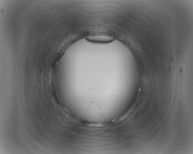 X0000083040133200702020952