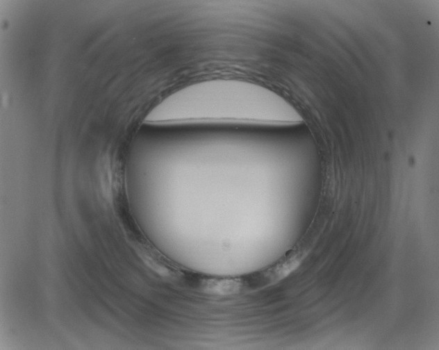 X0000083040135200702020952