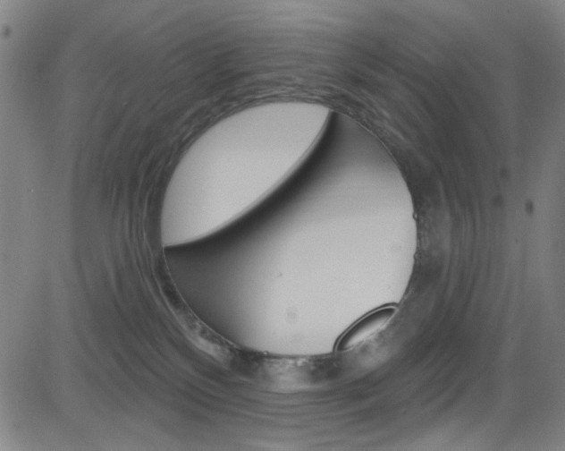 X0000083040136200702020952