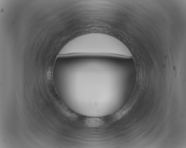 X0000083040137200702020952