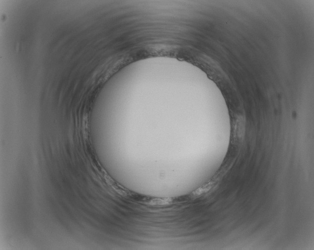 X0000083040138200702020952