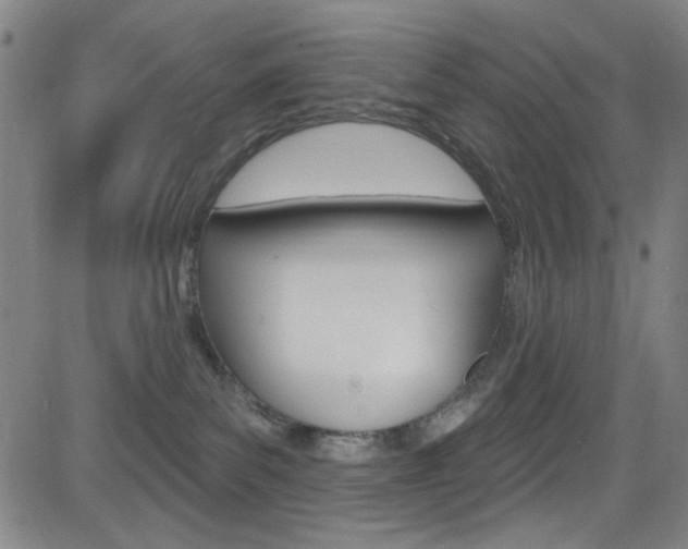 X0000083040139200702020952