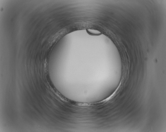 X0000083040144200702020952