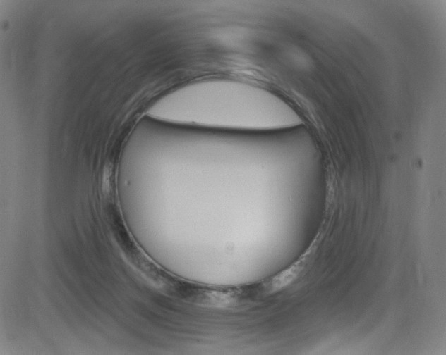 X0000083040166200702020952