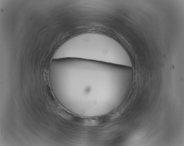 X0000083040169200702020952