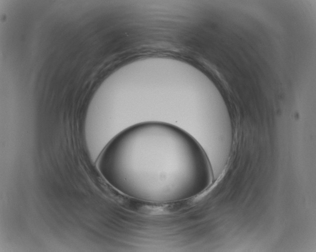 X0000083040170200702020952