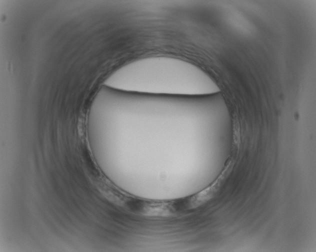 X0000083040175200702020952