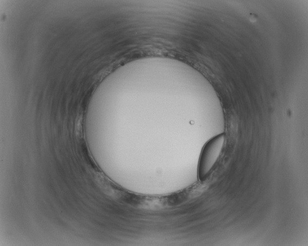 X0000083040177200702020952