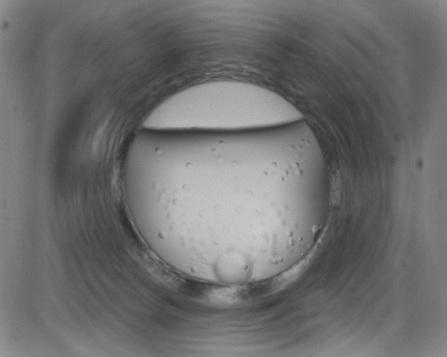 X0000083040178200702020952