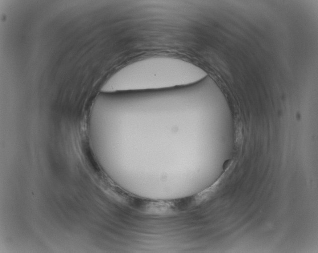 X0000083040179200702020952