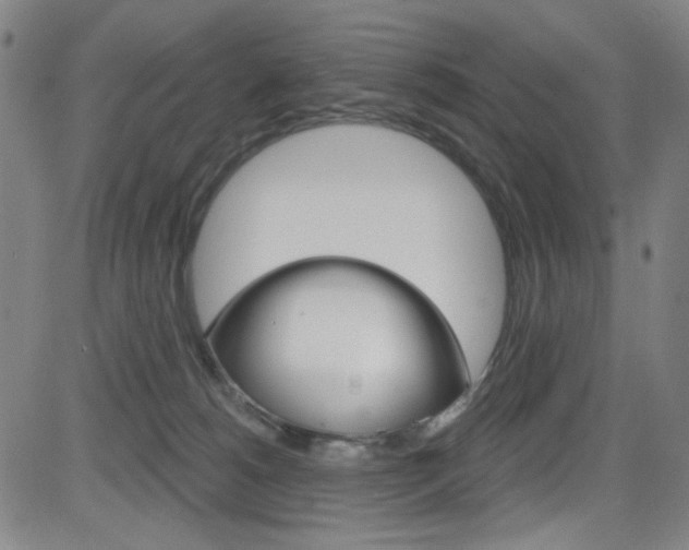 X0000083040180200702020952