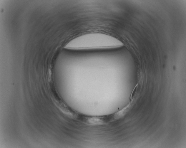 X0000083040183200702020952