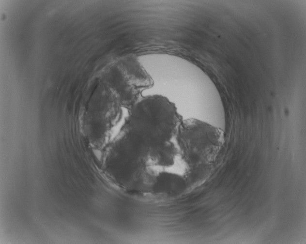 X0000083040185200702020952