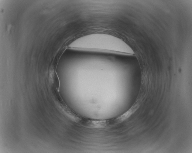 X0000083040188200702020952