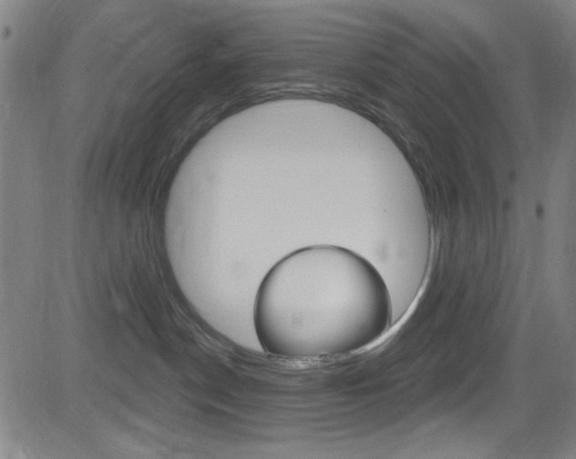 X0000083040190200702020952