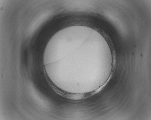 X0000083040191200702020952