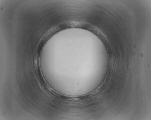 X0000083040214200702020951