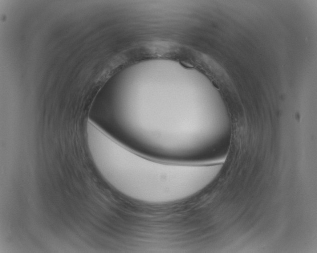 X0000083040221200702020951