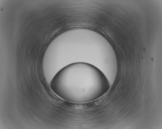 X0000083040264200702020950