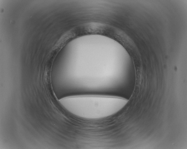 X0000083040266200702020950
