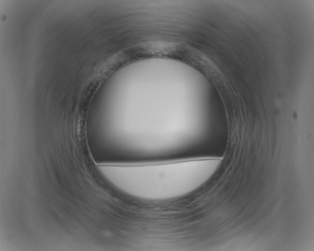 X0000083040268200702020950