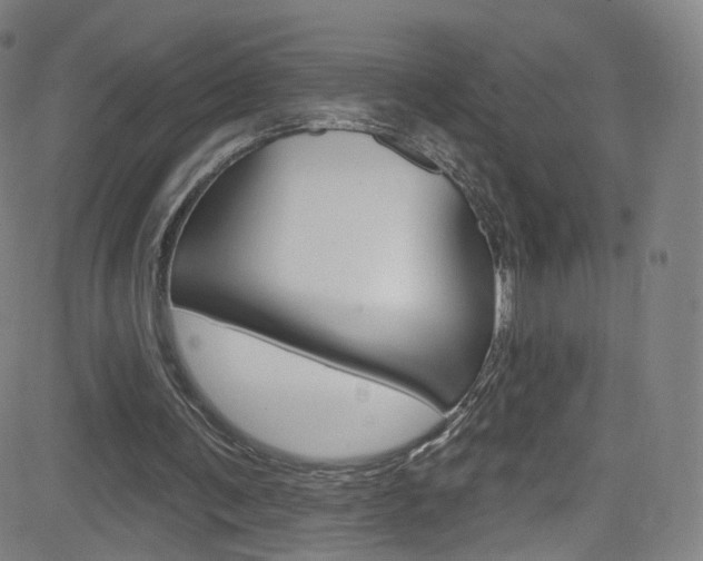 X0000083040291200702020950