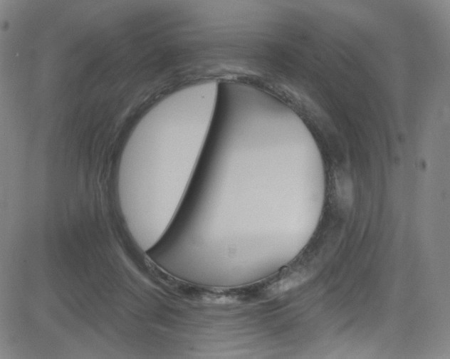X0000083040311200702020949