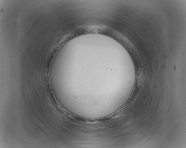 X0000083040314200702020949