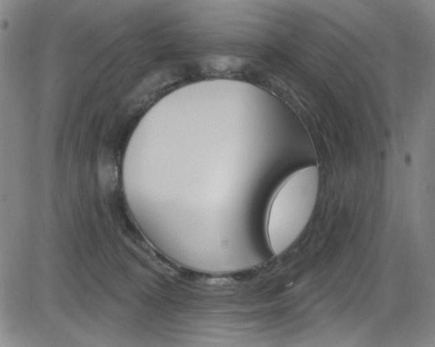 X0000083040324200702020949