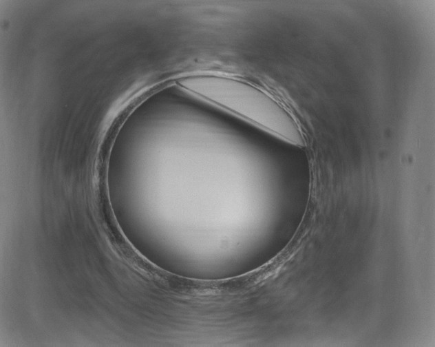 X0000083040344200702020948
