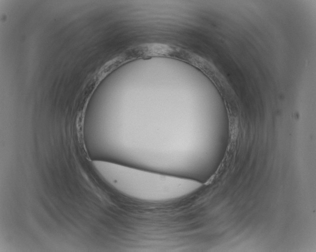 X0000083040360200702020948
