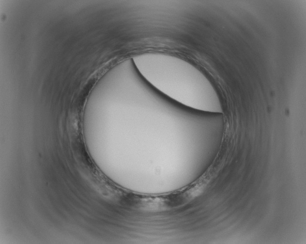 X0000083040363200702020949