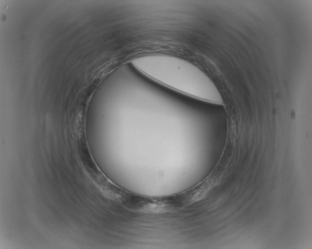 X0000083040364200702020949
