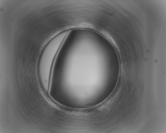 X0000083040389200702020948