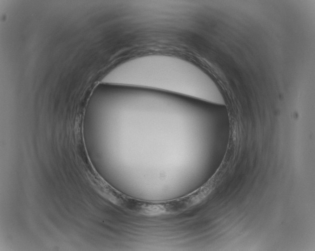 X0000083040409200702020948