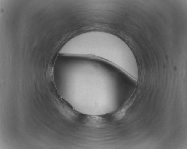 X0000083040429200702020947