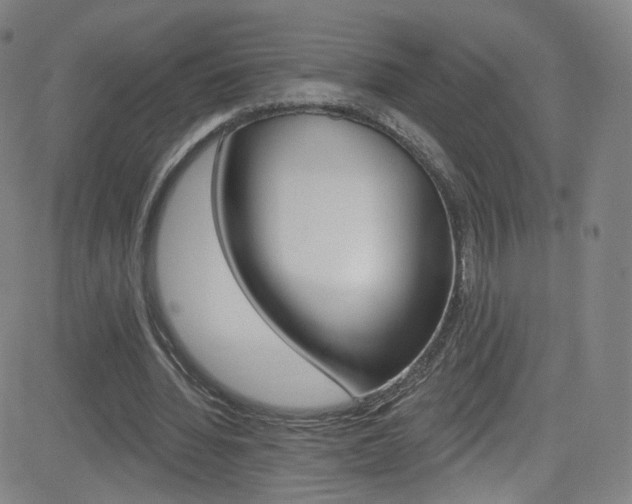 X0000083040436200702020946