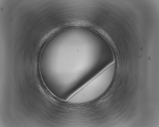 X0000083040442200702020947